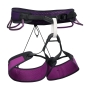 BD Purple